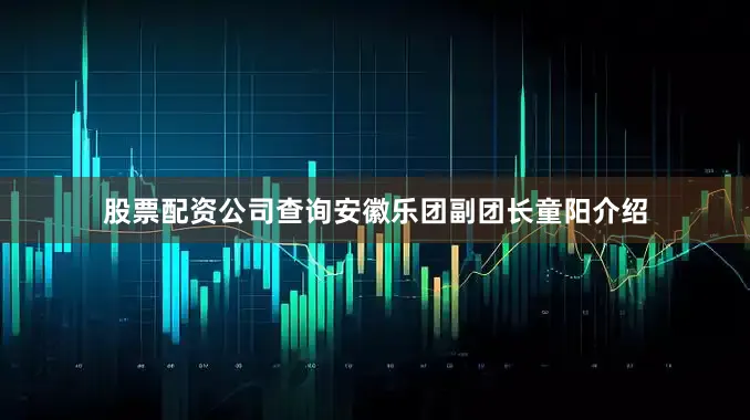 股票配资公司查询安徽乐团副团长童阳介绍